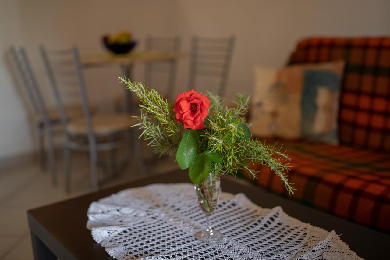 Apartman Kristo Вир Екстер'єр фото
